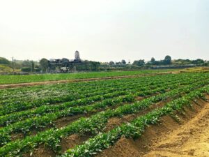 智慧農業-植保機